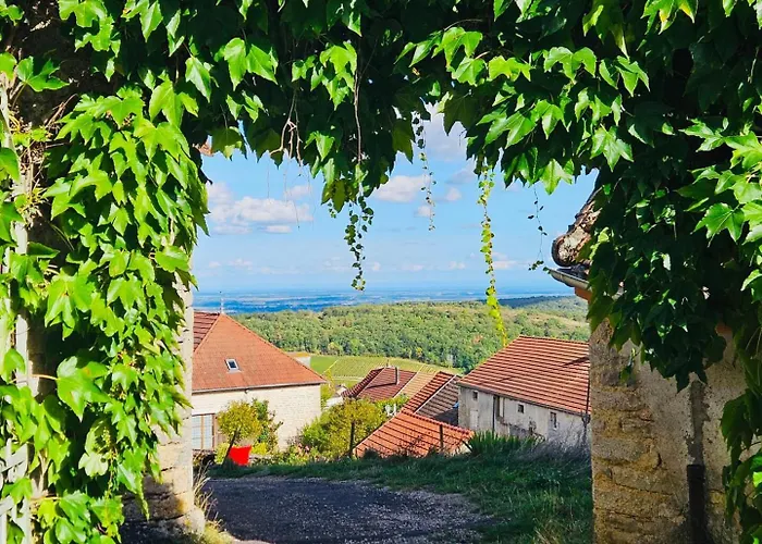 Maison Unique Avec Vue Sur Les Vignes