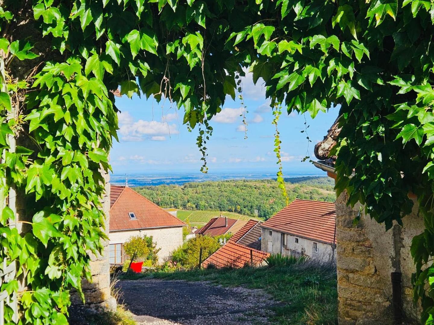 Maison Unique Avec Vue Sur Les Vignes *
